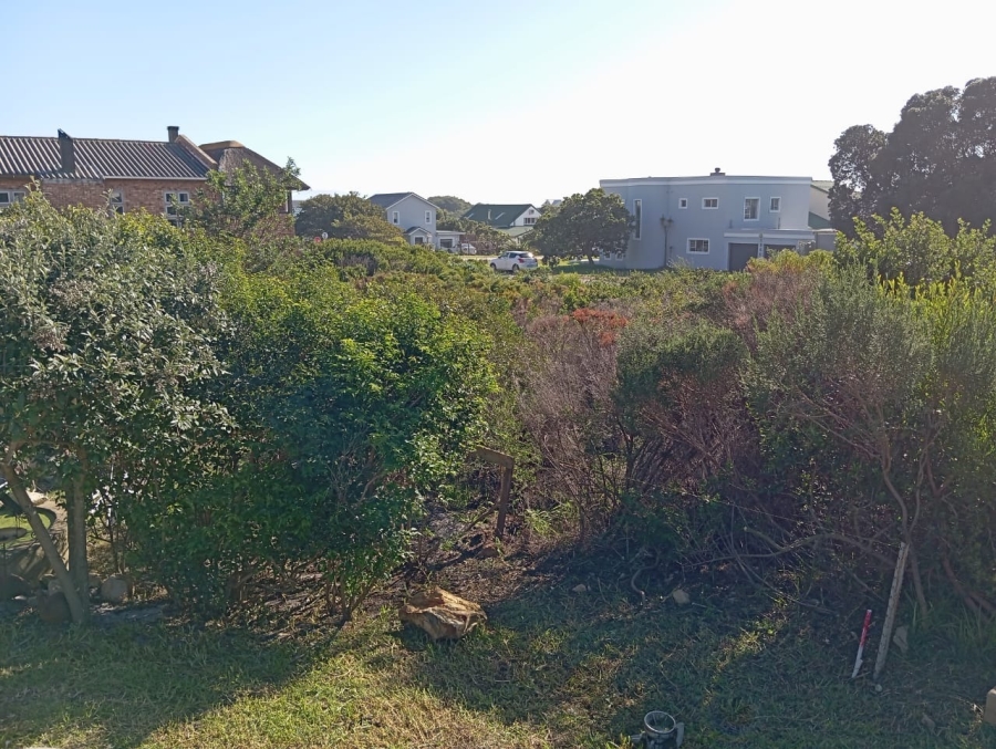 0 Bedroom Property for Sale in Pringle Bay Western Cape